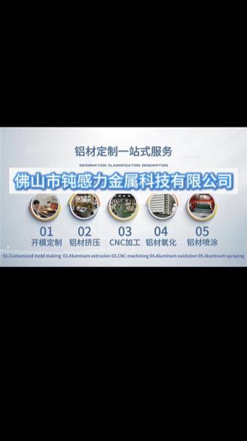 Website homepage video