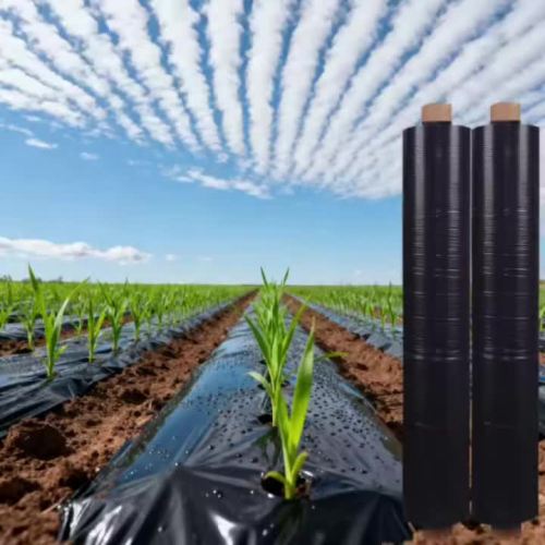 סרט מאלץ' חקלאי שחור מחורר LDPE
