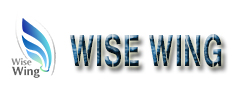 Wise Wing Technology (Hongkong) Limited