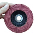 Metal Non-Metal Grinding Discs, Flap Discs & Sanding Discs - 36 Grit & 400 RPM Compatibility1