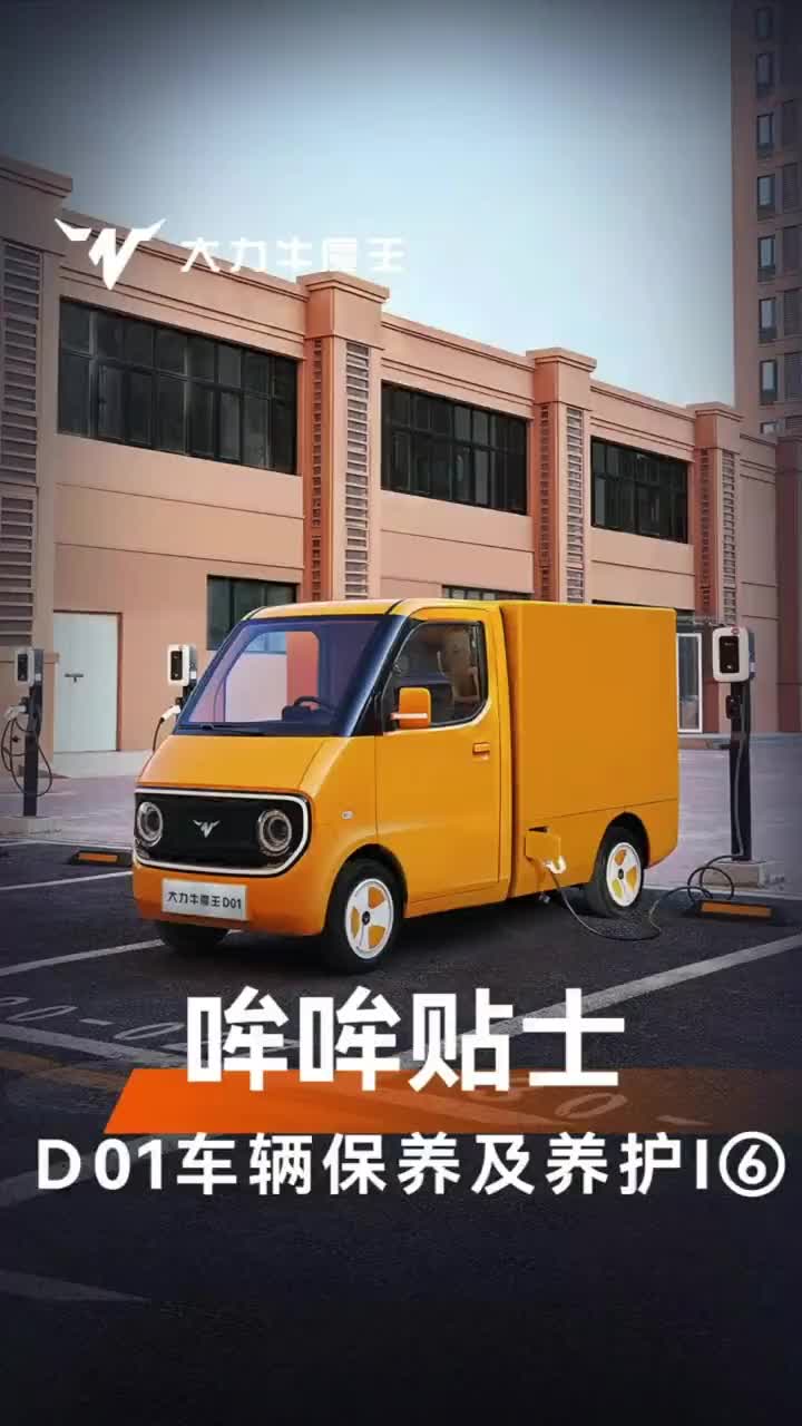 Neomor D01 pure electric van