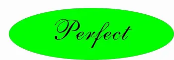 Xiamen Perfect Industrial Co.,Ltd.