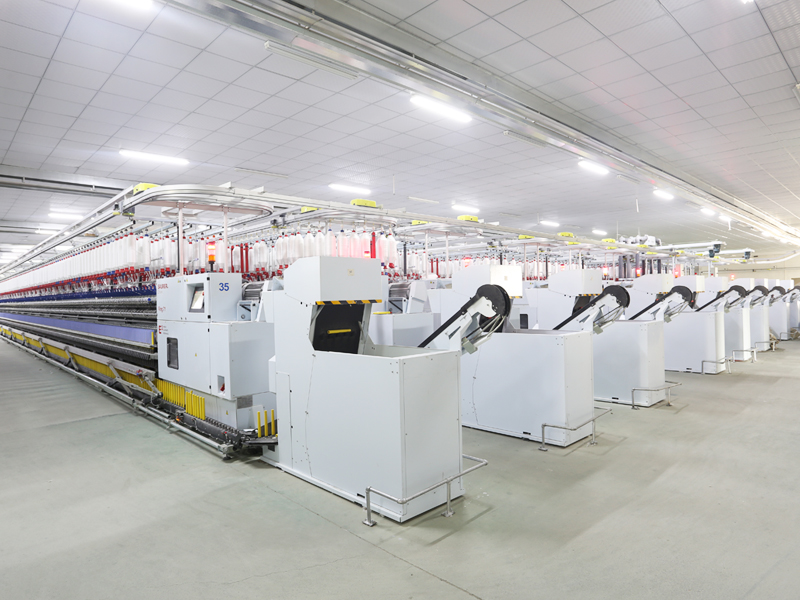 Jiangxi Zhisheng Technology Co., Ltd