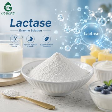 GUBOND Lactase‑High Quality Digestive Enzyme
