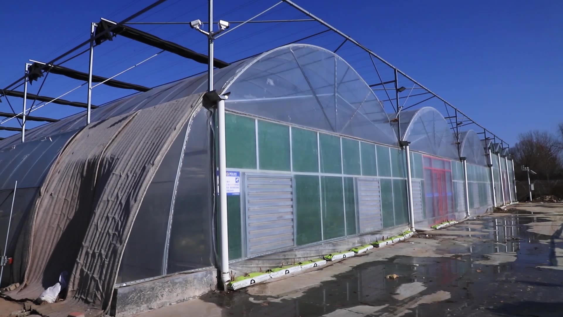 Film multi-span agricole Greenhouse pour tomate à la laitue au tomate CUCUBBUMER AUGGENT1