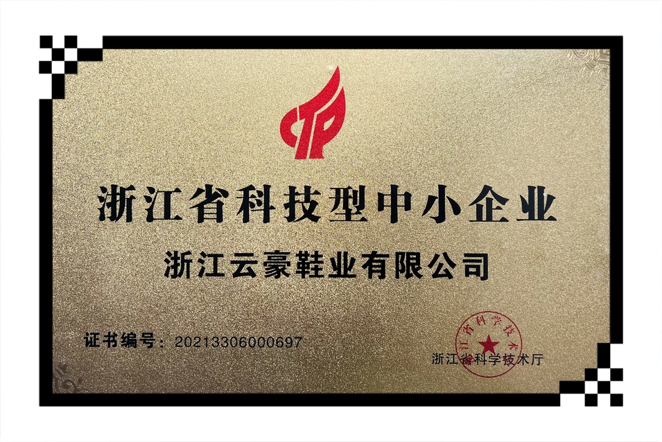 A technology-based small and medium-sized enterprise in Zhejiang Province