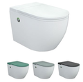 High Quality Ceramic Concealed Cistern Wall-Mounted Pulse Toilet1
