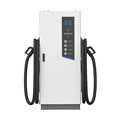 UE 50kW & DC 120kW Electric Car EVSE Chargers - Dual Socket DC Fast EV Charger for Electric Vehicles" 

However, if you need a more concise and search-friendly title:

"DC 120kW Dual Socket Fast EV Charger for Electric Cars1