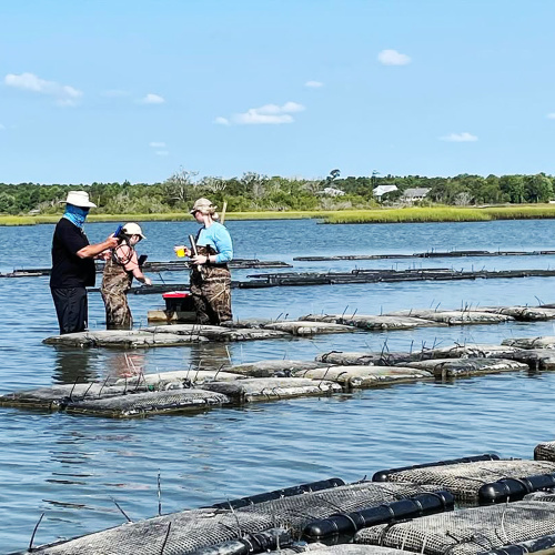 HDPEオイスターメッシュバッグ
