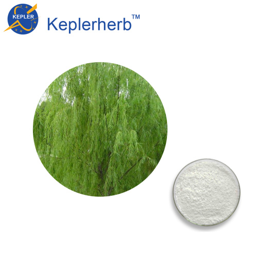 White Willow Bark Extract