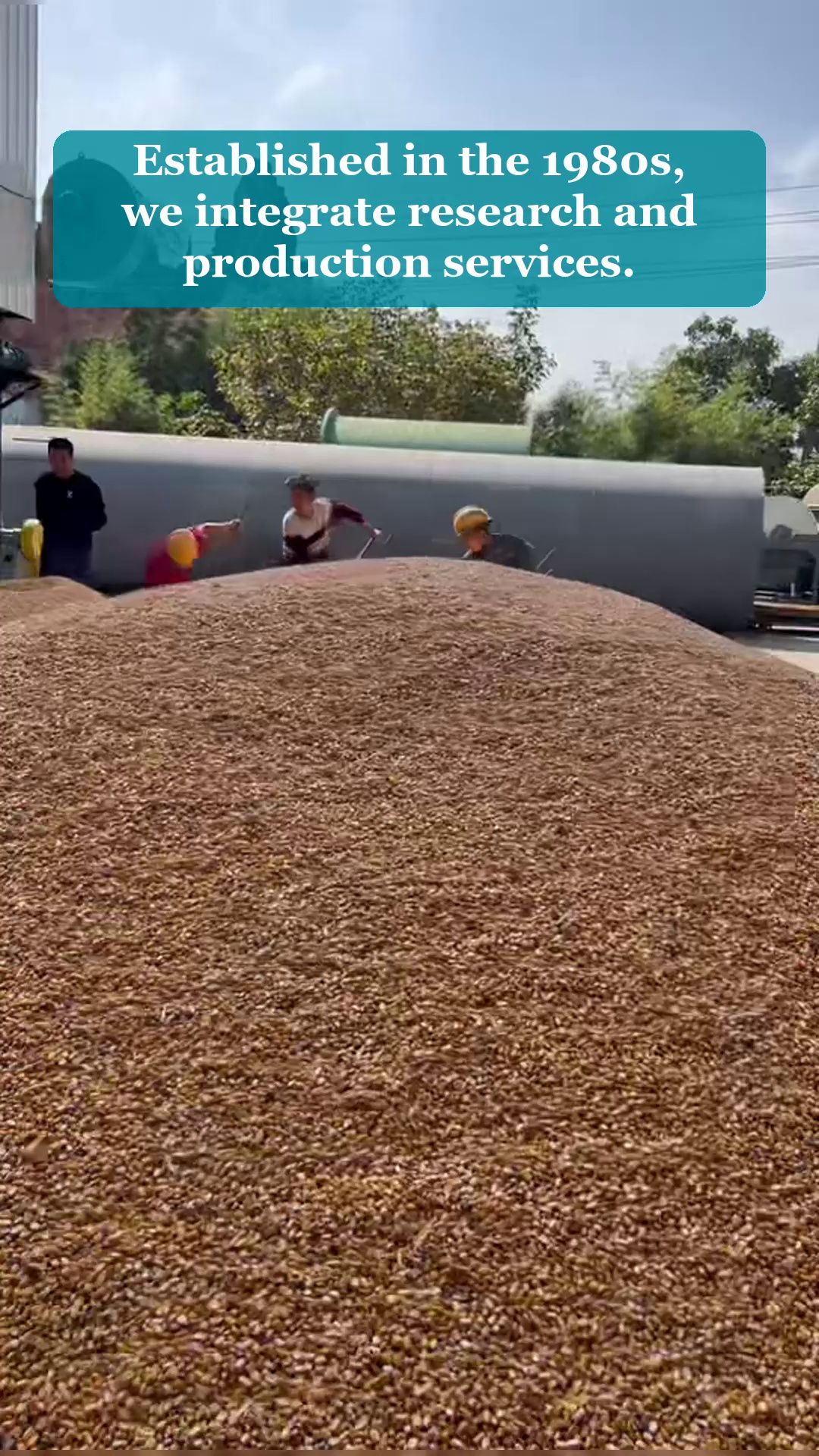 Vidéo 101