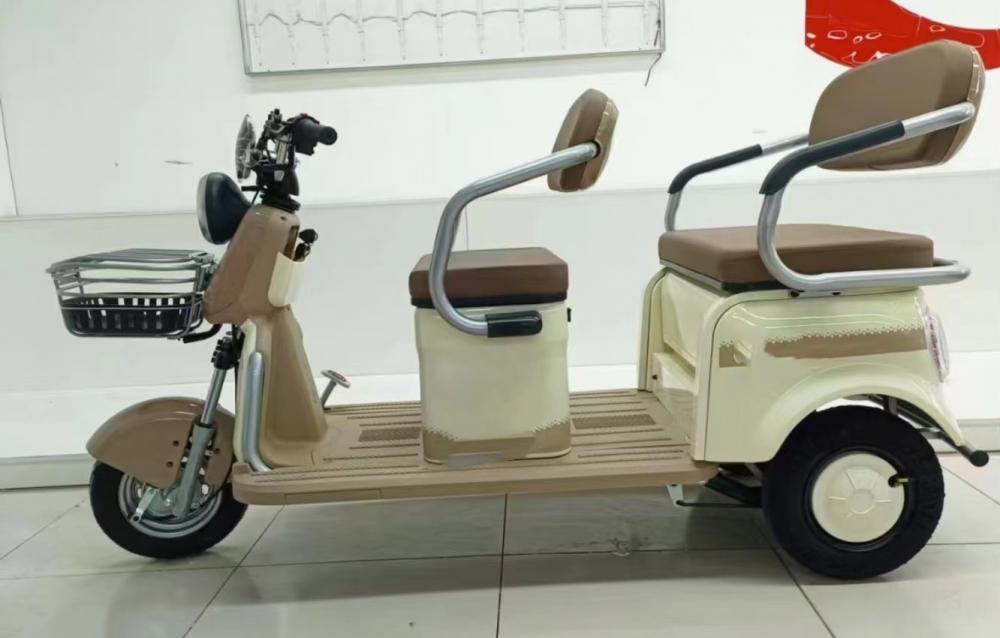 Multi-seater Small Leisure Electric Tricycle