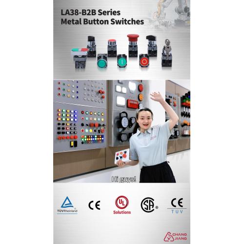 Metalni prekidač serije LA38-B2B