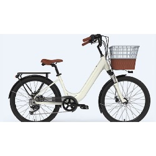 Customized Ebike 30 Mph With Basket