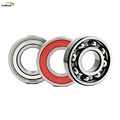 Long Life Miniature Deep Groove Ball Bearings: 6000, 6005, 6007, 6008, 6009, 6201, 6309LU, 2RS, ZZ, DDU, LLU, C3, IRS, HLB Sealed1