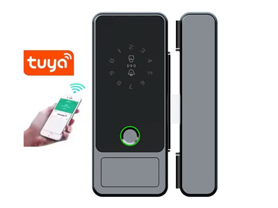 Smart Secure Entry: Fingerabdruckglas -Türschloss für das moderne Leben