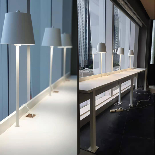 Modern decorative floor lamps in the library