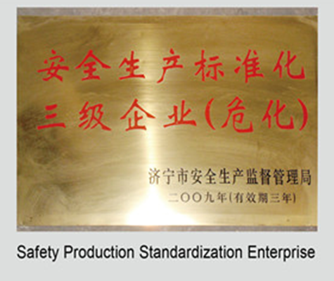 Safety production standard  company