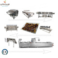 Selecting Conveyor Oven Line for Palm Dates Washing and Processing with Machine1