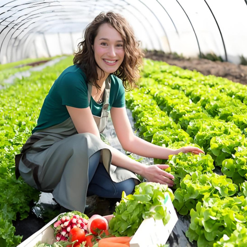 Bột rượu ngâm ngô: Phân hữu cơ cực tốt bổ sung lân