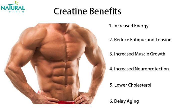 Benefits of Creatine Monohydrate