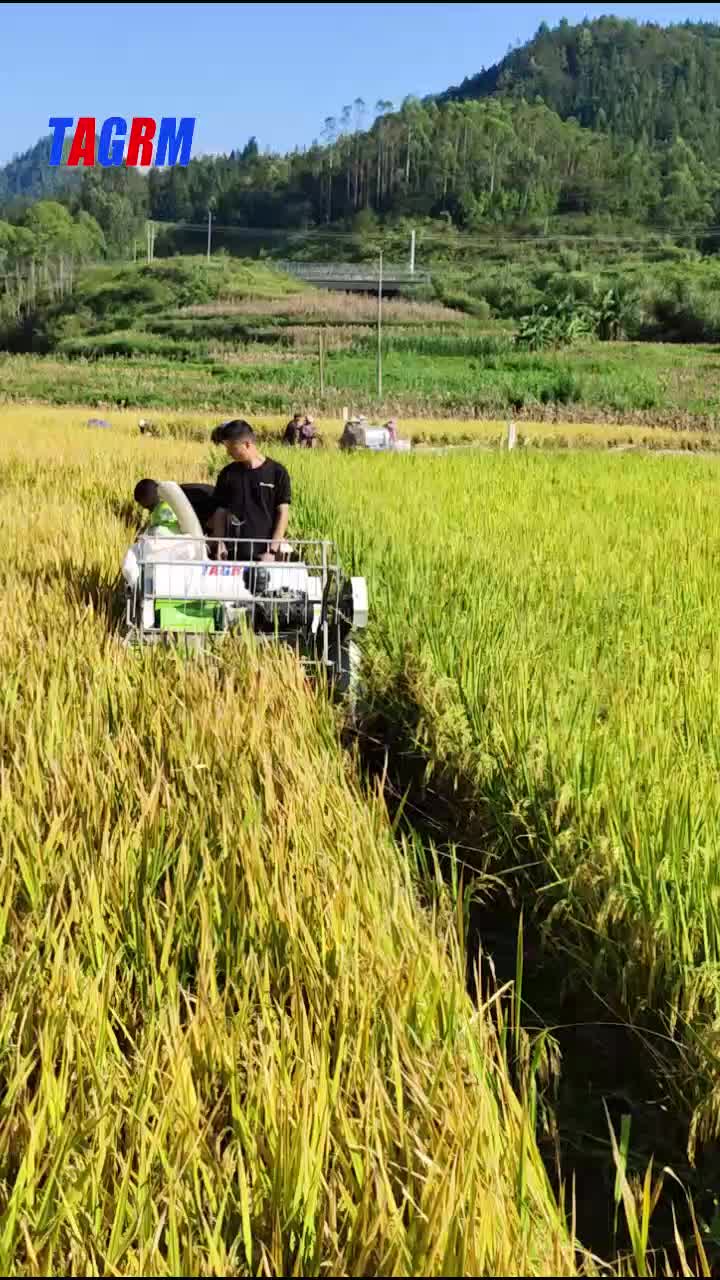 1,2B Mini -Reis Combine Harvester (grün)