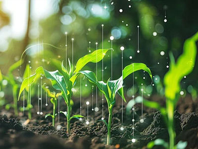 Gelişmiş Kazan Teknolojisi 2026'da Çevreci, Verimli ve Güvenli Endüstriyel Operasyonları Destekliyor