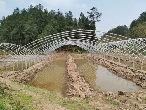 Arraigado en la tierra, potenciando la revitalización: el proyecto de invernadero de cangrejo de río Nanchuan de Qingcheng Agriculture avanza constantemente