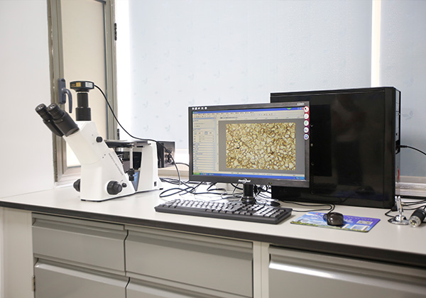 Inverted metallurgical microscope