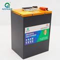 Customized Supreme Quality Car, Motorcycle, Marine 12V & 24V LifePO4 Lithium Batteries from Shenzhen Factory1