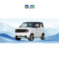 Geome 2024 Geely Panda Mini EV: 4 Seater Electric Car1