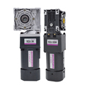  Worm Gearbox DC Motor and NMRV Worm Gear Reducer with Electric Motor: Exploring High-Efficiency Drivetrain Solutions1