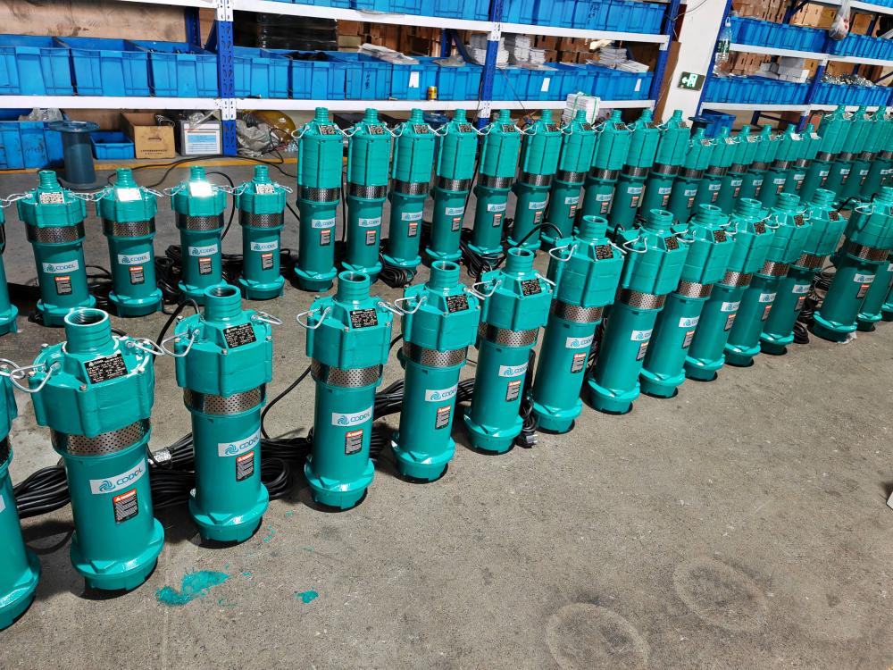 微信图片_20260407155044_106_20