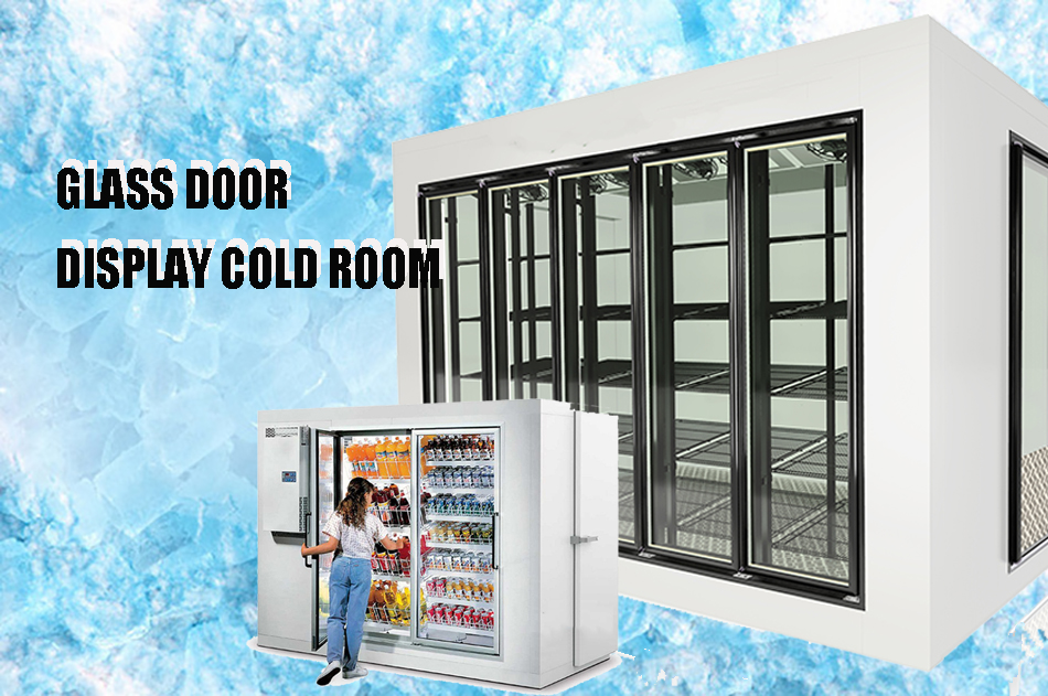 glass door display cold room