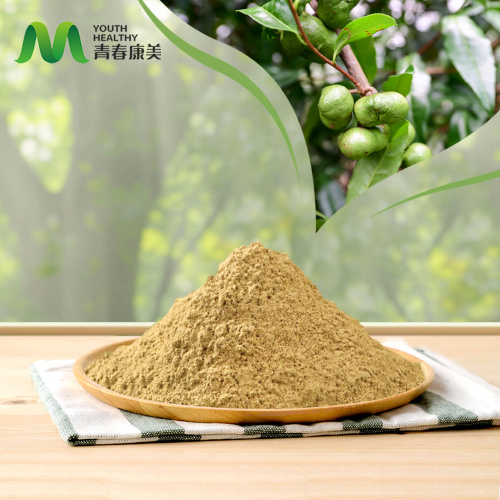 10 usi sorprendenti delle saponine del tè: sblocca la versatilità dell'estratto naturale di semi di tè