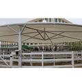 CE Certified Horse Walker with 750 Watt Motor1