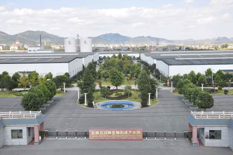 Factory Premises of the Group Company