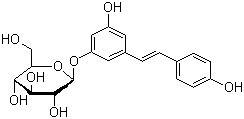 Factory Supply Giant Knotweed Extract/Polydatin/Polydatin Powder