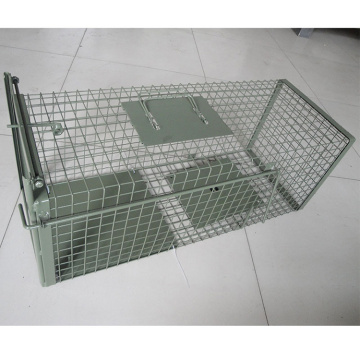 List of Top 10 Pet Cages Brands Popular in European and American Countries