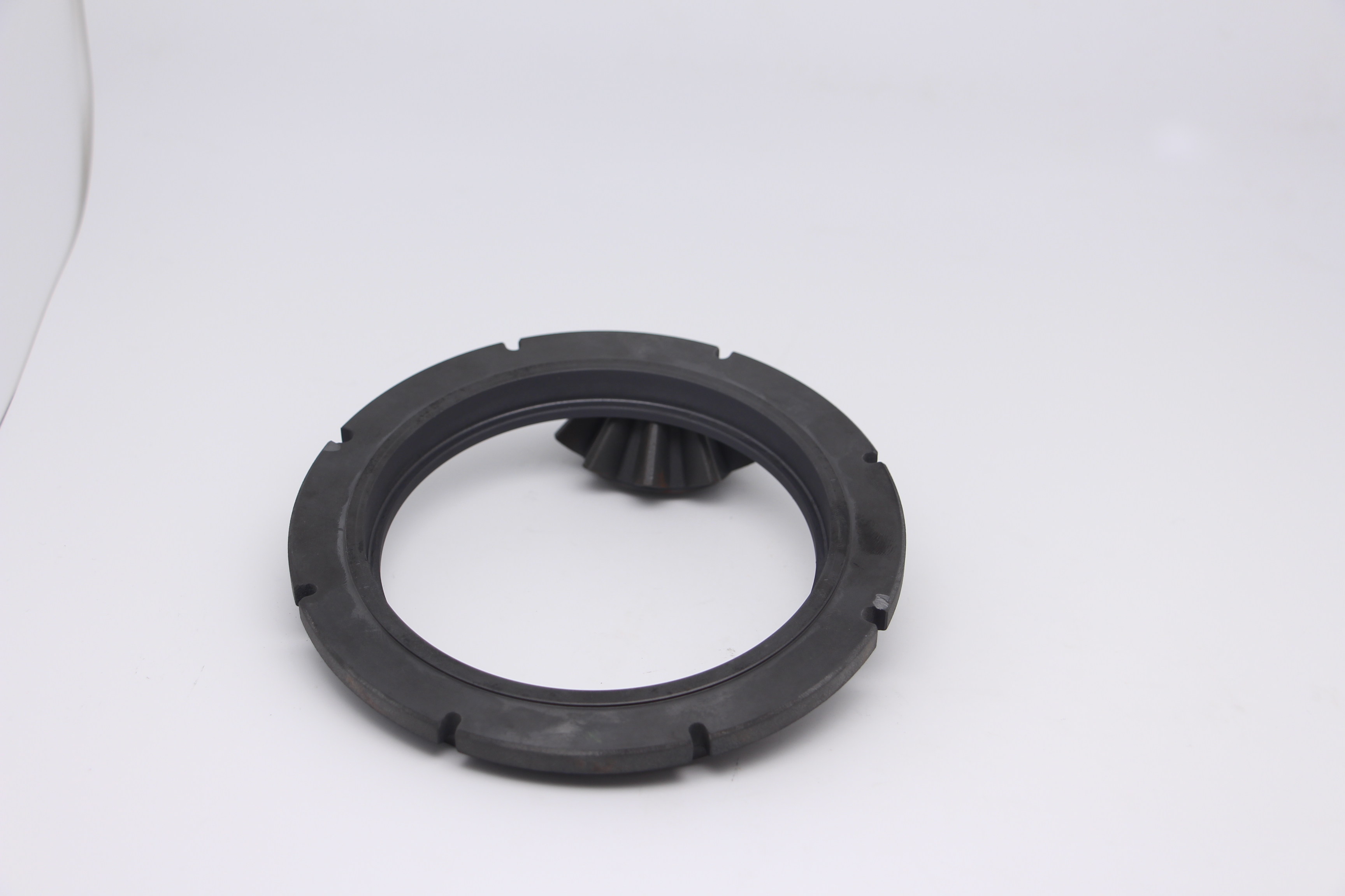 graphite sealing ring