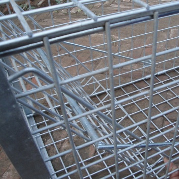 List of Top 10 Large Animal Trap Cage Brands Popular in European and American Countries