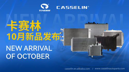 CASSELIN NEW ARRIVAL IN OCTOBER