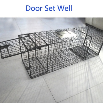 List of Top 10 Wire Mesh Trap Cages Brands Popular in European and American Countries