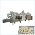LIQUID NITROGEN TUNNEL QUICK FREEZER1