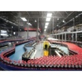 A to Z Pepsi Filling Machine: Bottling Carbonated Soft Drinks1