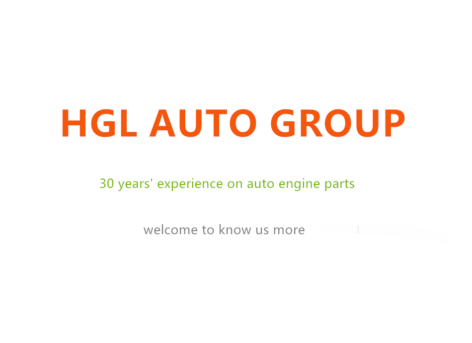 HGL AUTO GROUP VEDIO