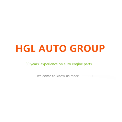 HGL Auto Group Vediio