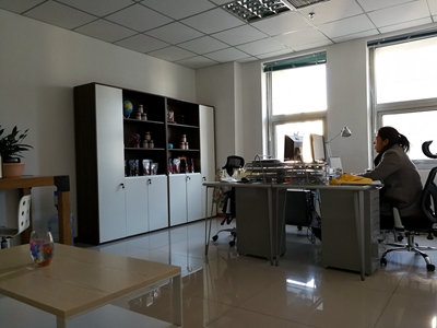 NINGXIA UNION-SURE CO., LTD. 
