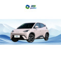 2024 Vigor Electric Car - BYD Seagull Cheapest Model in Stock1