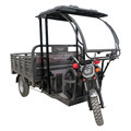 Climbing Electric Tricycle with Canopy and Cargo Features1